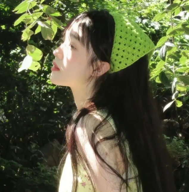 玫瑰计划